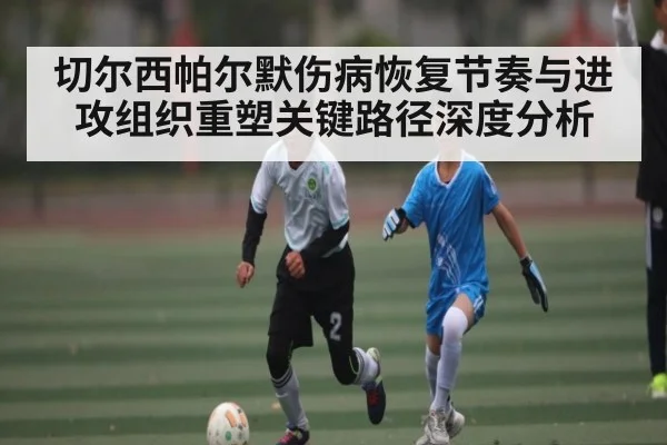 切尔西帕尔默伤病恢复节奏与进攻组织重塑关键路径深度分析