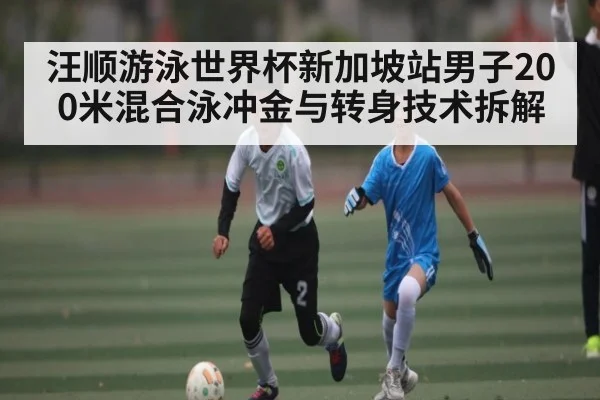 汪顺游泳世界杯新加坡站男子200米混合泳冲金与转身技术拆解