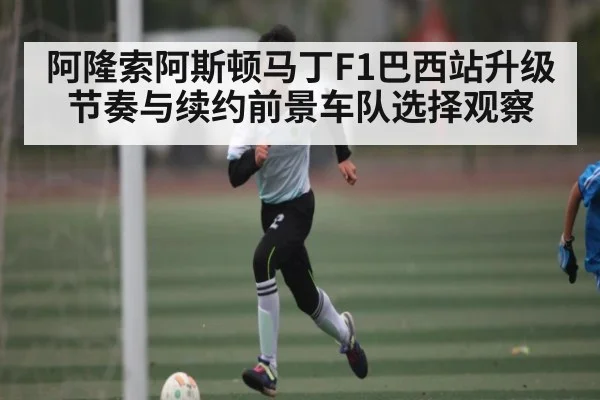 阿隆索阿斯顿马丁F1巴西站升级节奏与续约前景车队选择观察