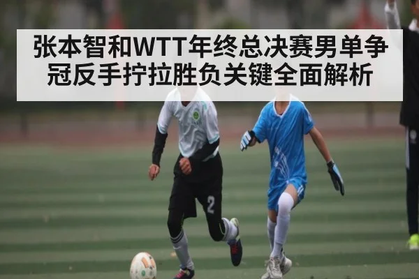 张本智和WTT年终总决赛男单争冠反手拧拉胜负关键全面解析